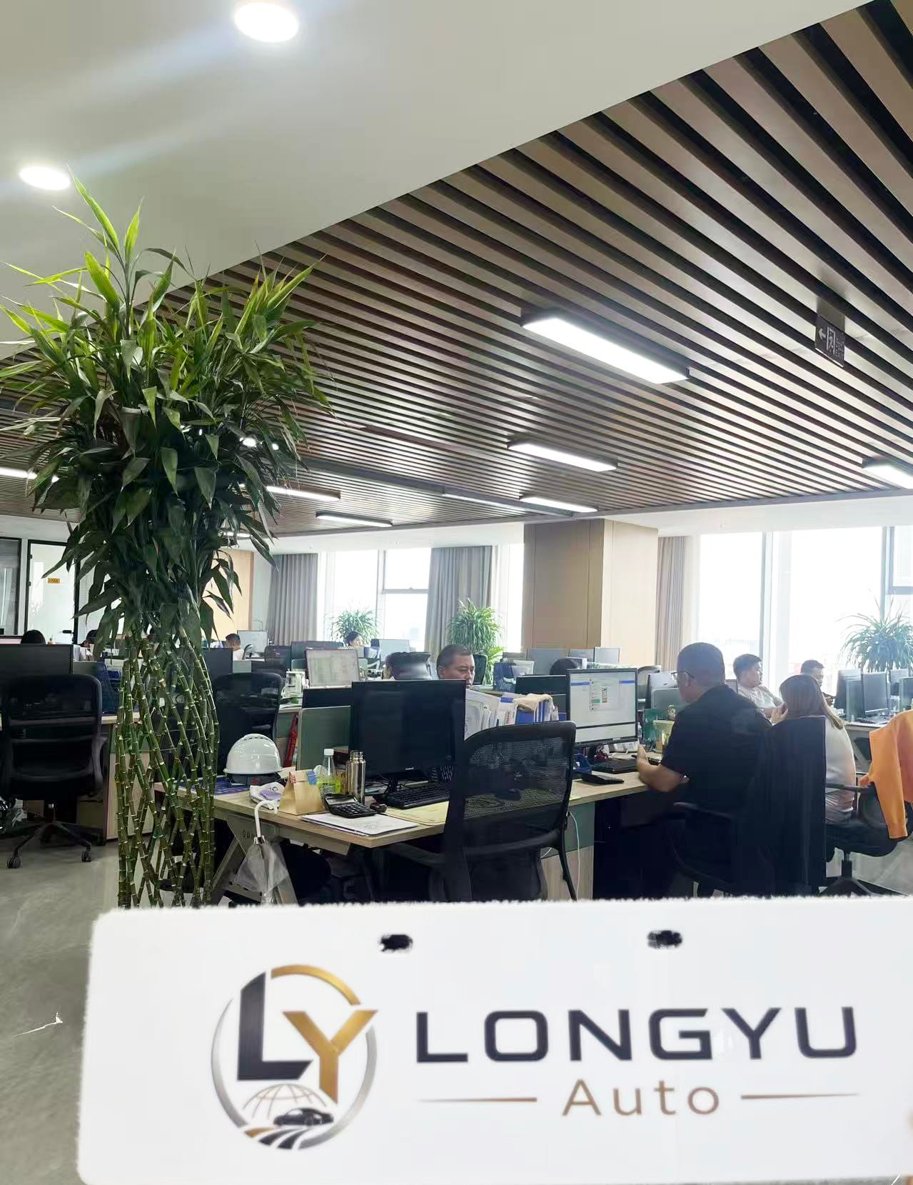 Longyu Auto office